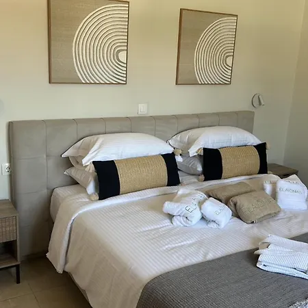 Daire Elaionas Luxe With Private Pool