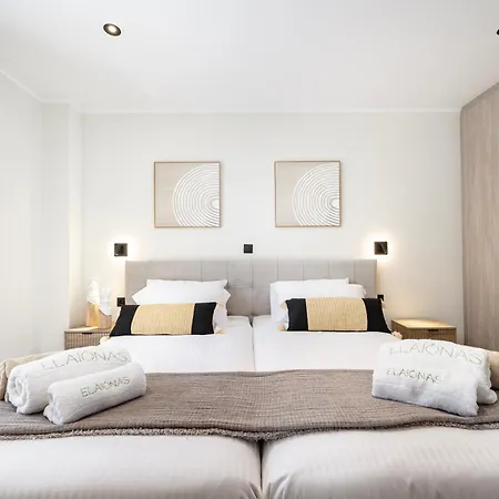 Elaionas Luxe With Private Pool Apartmán *