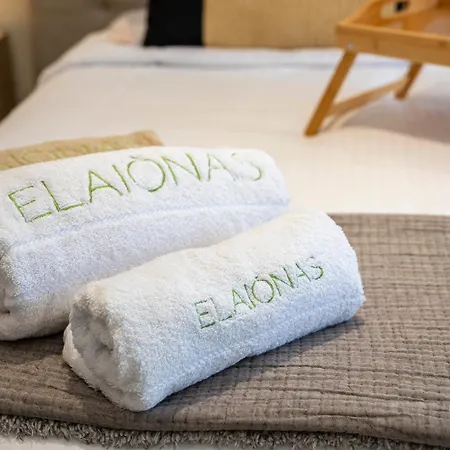 Elaionas Luxe With Private Pool Apartmán *