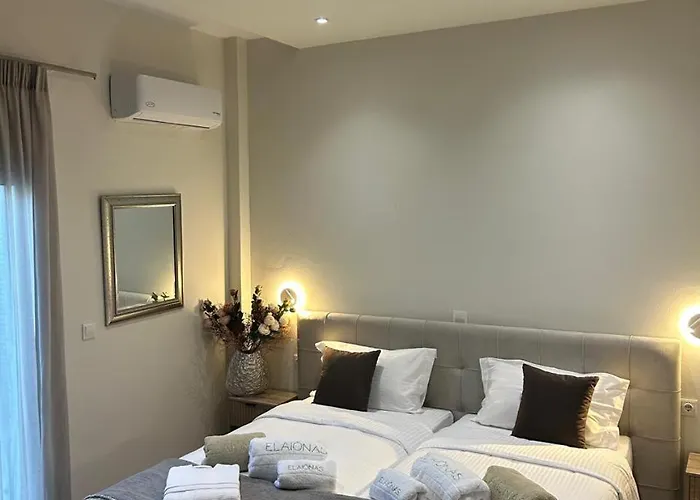 Daire Elaionas Luxe With Private Pool *