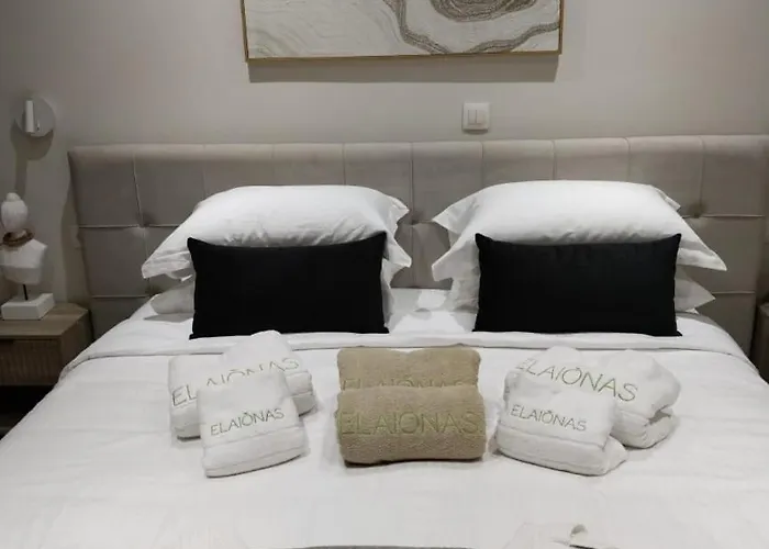 Elaionas Luxe With Private Pool Daire