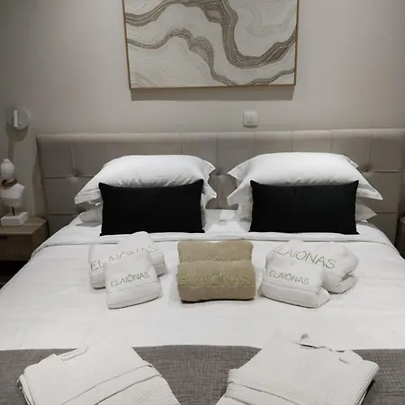Elaionas Luxe With Private Pool Apartment